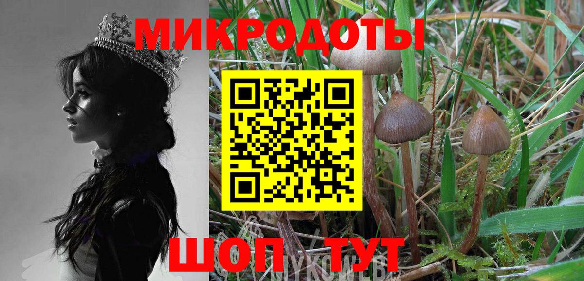 Галлюциногенные грибы ЛСД  Вход с VPN  Махачкала 