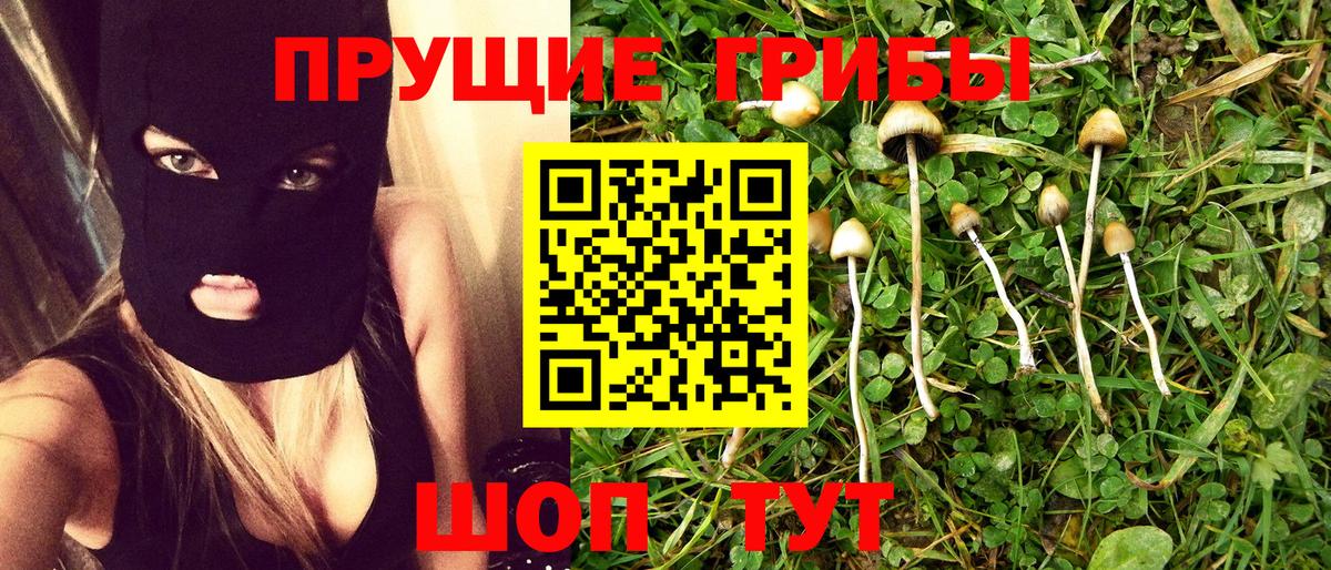 Псилоцибиновые грибы GOLDEN TEACHER Махачкала